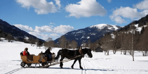 6 actividades y espectáculos con caballos para disfrutar en Navidad