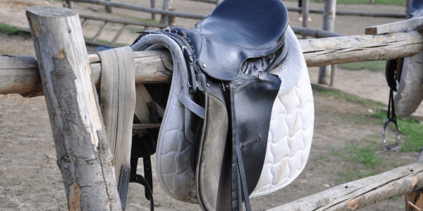 Sillas de montar. ¿Cuál es la más adecuada para mí?