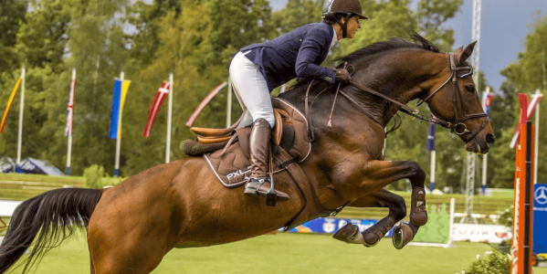 Salto, doma clásica y concurso completo. ¿En qué consisten?