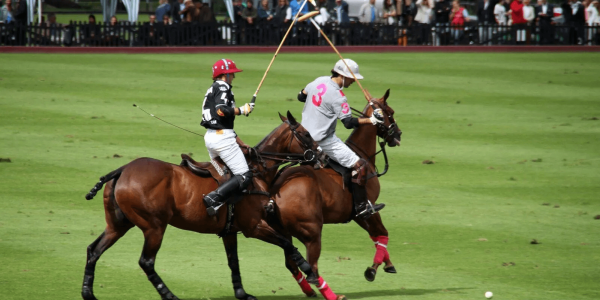 Otras disciplinas de equitación: polo, horseball y enganches