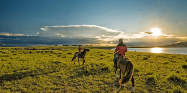 Tienda hípica Online: Aspectos fundamentales a tener en cuenta