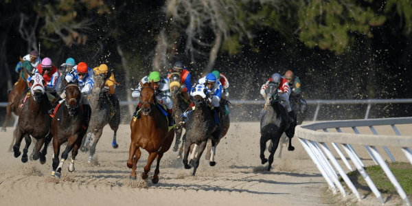 Hipódromo de la Zarzuela: ¡Comienza una nueva temporada!