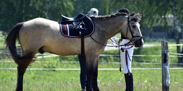 Beneficios de la equitación, un deporte para cuerpo y mente