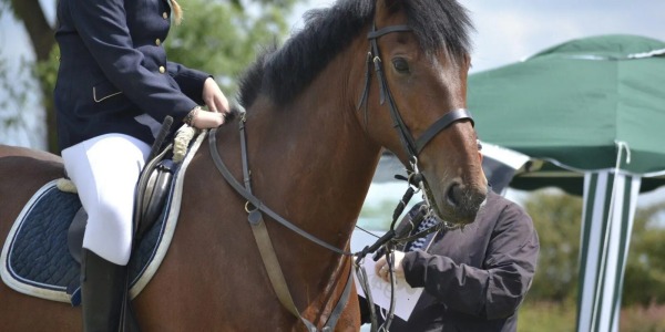 ¿Cuál es la equipación básica para montar a caballo?