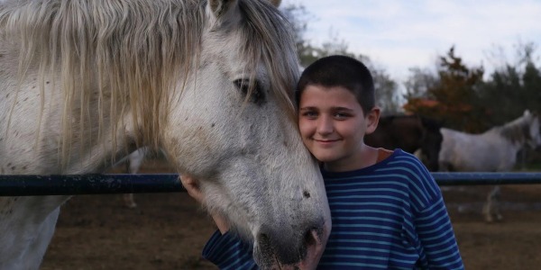 Equinoterapia. El poder curativo de los caballos